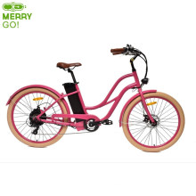 New Design Fat Tire Electric City Bike for Lady